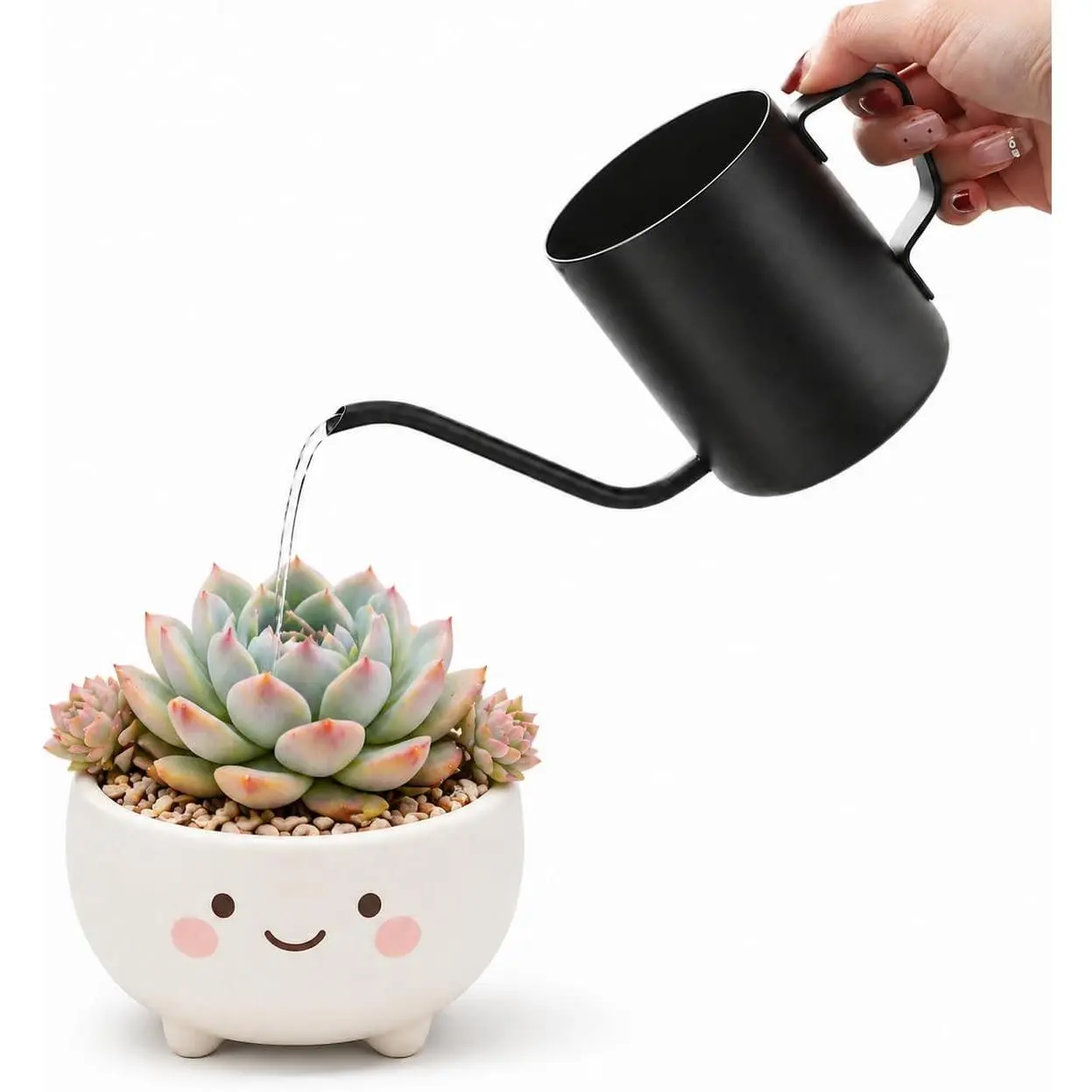Watering Can for Indoor , 12 oz / 350 ml Mini  Waterer, Stainless Steel Watering Can with Long Spout for House ,  and Garden Decorative, Gentle Flow & No Spills