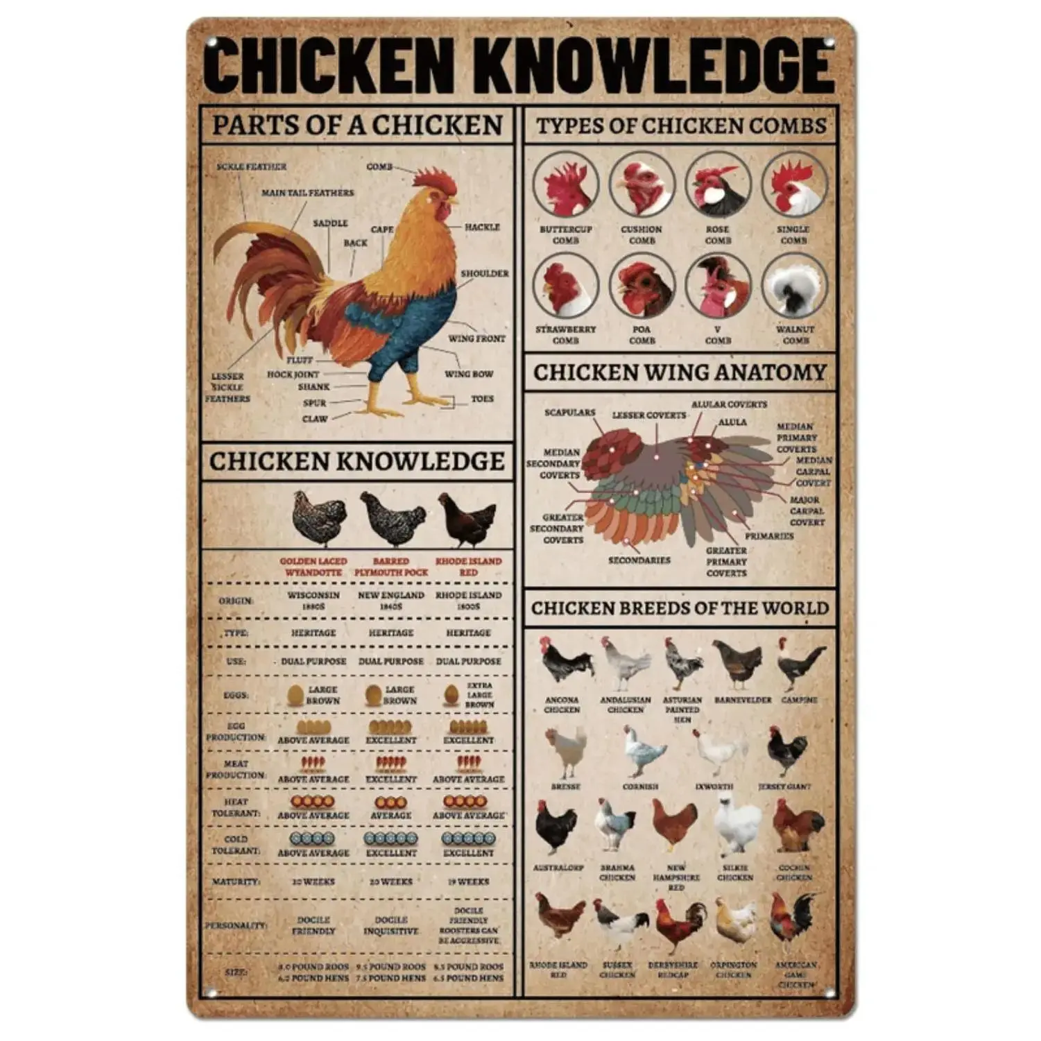 Vintage Farm Chicken Anatomy Guide Tinplate Plaque - Rust-Proof, Weather-Resistant Metal Tin Sign, Detailed Breeds Illustrations, 20x30cm Home Kitchen Wall Art Decor