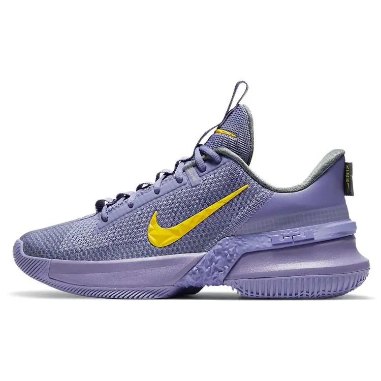 Nike LeBron Ambassador 13 'Lakers'