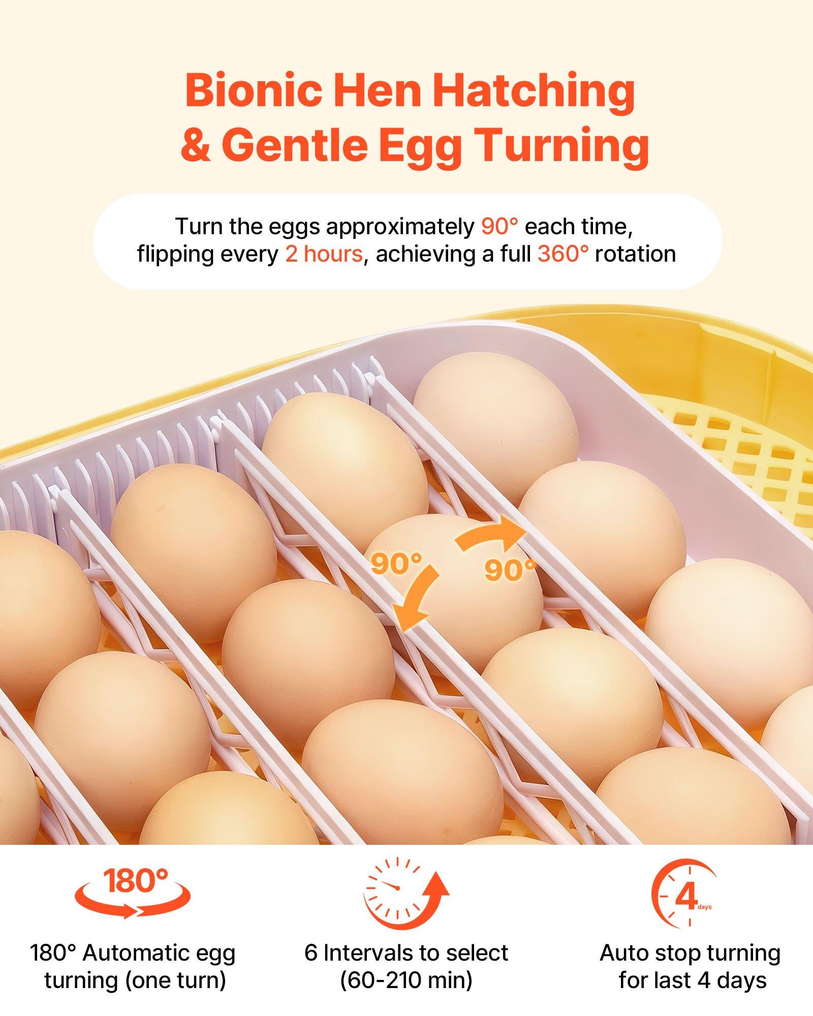 VEVOR 24 Egg Incubator, Automatic Egg Turner with LED Candler, Temperature & Humidity Control, 360 °   View Clear Window, Auto Water Refill, Poultry Eggs Incubators for Hatching Chicks Ducks Goose Quail