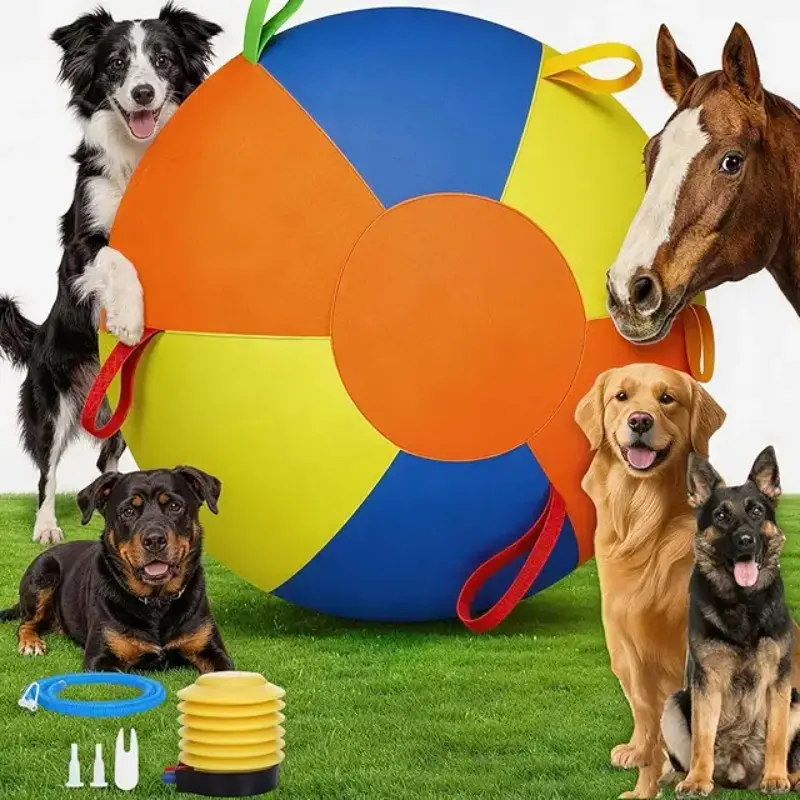 Dog Walking Interactive Pet Toy Ball, Non-Electric Pet Herding Toy, Not Chewable, Includes Air Pump, Model Pd60221, Single Unit