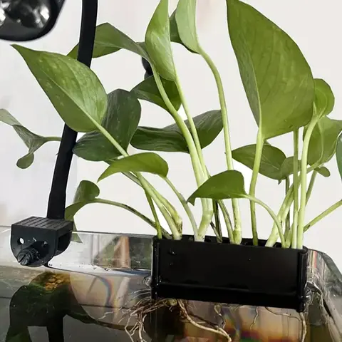 Hanging Fish Tank Plant Holder, Multi-hole Water Cultivation Plant Support, Fish Tank Plant Storage Rack, Aquarium Supplies, Aquarium Accessories, Grow, Nature