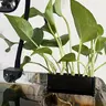 Hanging Fish Tank Plant Holder, Multi-hole Water Cultivation Plant Support, Fish Tank Plant Storage Rack, Aquarium Supplies, Aquarium Accessories, Grow, Nature