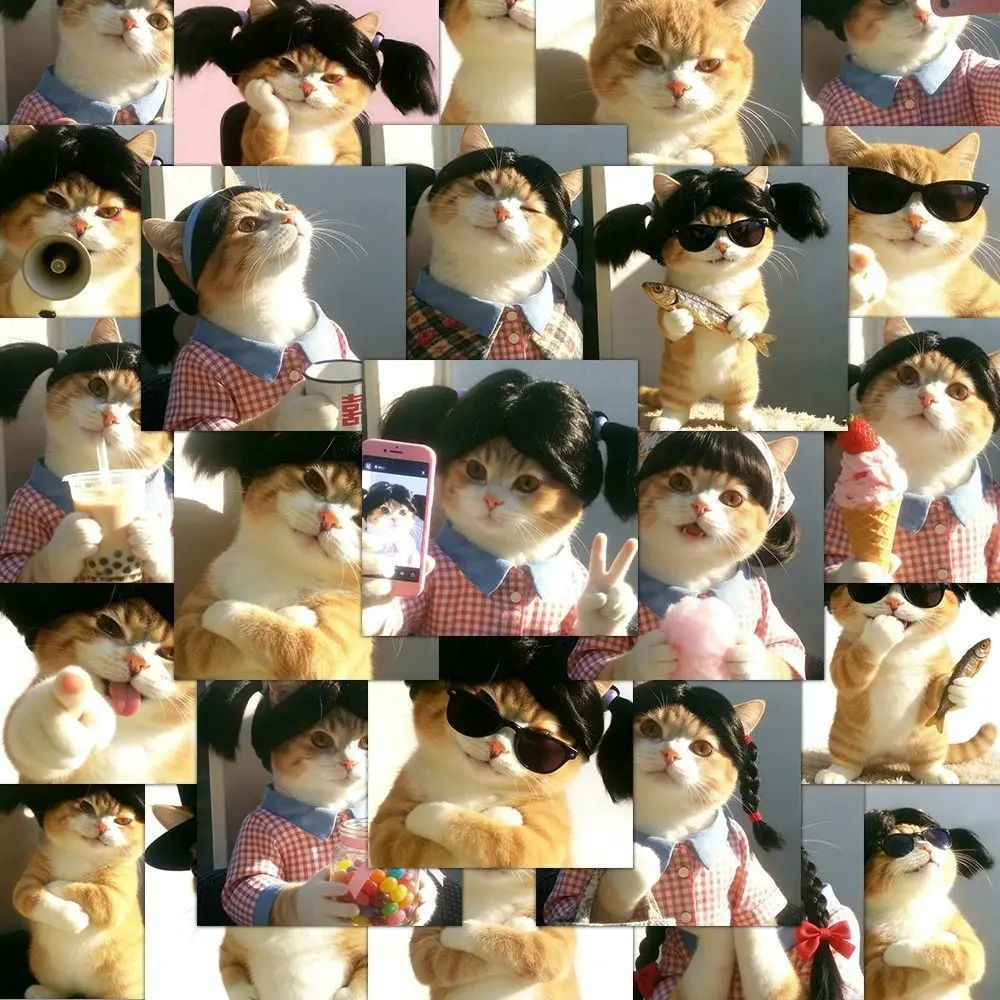 54 Cat Face Sticker Set, Waterproof Stickers for Car, Water Bottle, Luggage, Phone, Laptop, Computer, Cute & Durable Design
