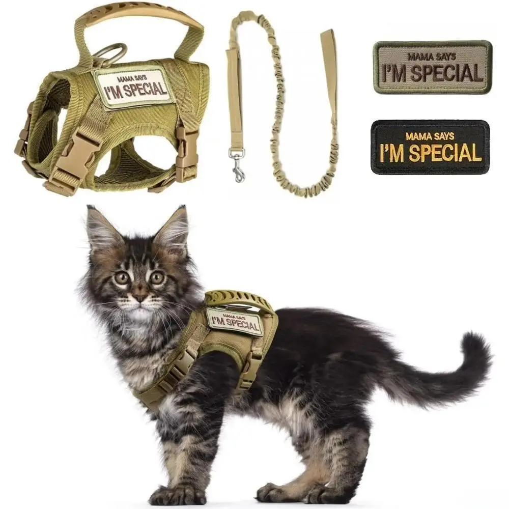 Leads & Harnesses Set with Smart Leather Luggage Tag & Tracker - Escape-Proof Adjustable Waterproof Pet Vest Harness, Hands-Free No-Pull Leash for Small Dogs/Cats, Comfortable All-Round Protection for Daily Walking, Ergonomic, Vest Harness Leash