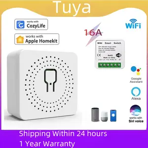 Smart Wireless Switch Mini Wifi Relay Breaker  Voice Wifi Smart Switches Control
