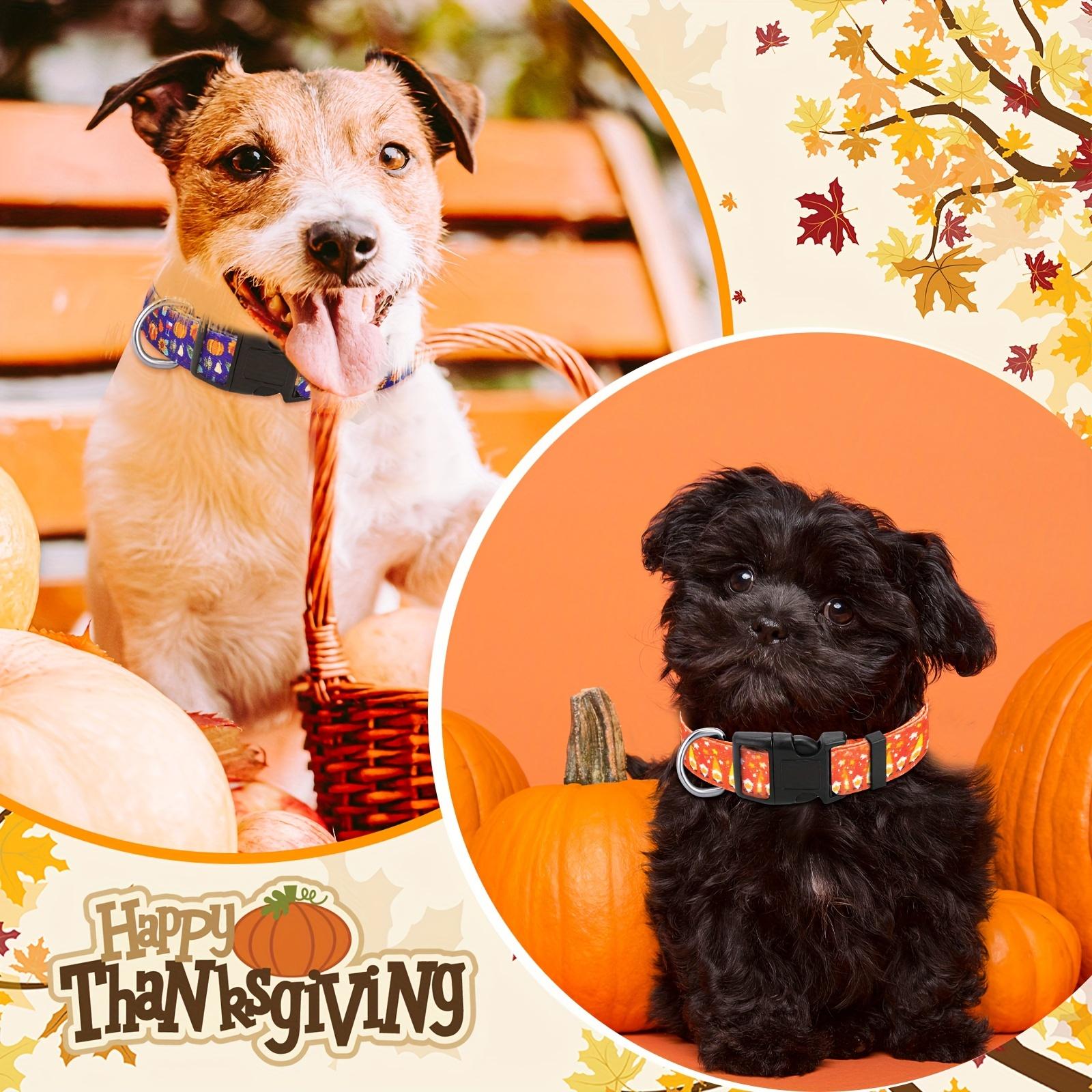6 Pcs Thanksgiving Fall Dog Collar For Puppy Extra Small Medium Large Dogs Nylon Adjustable Lightweight Basic Cat Collars Pumpkin Maple Leaf Patterns Safety With Plastic Buckle (Small)