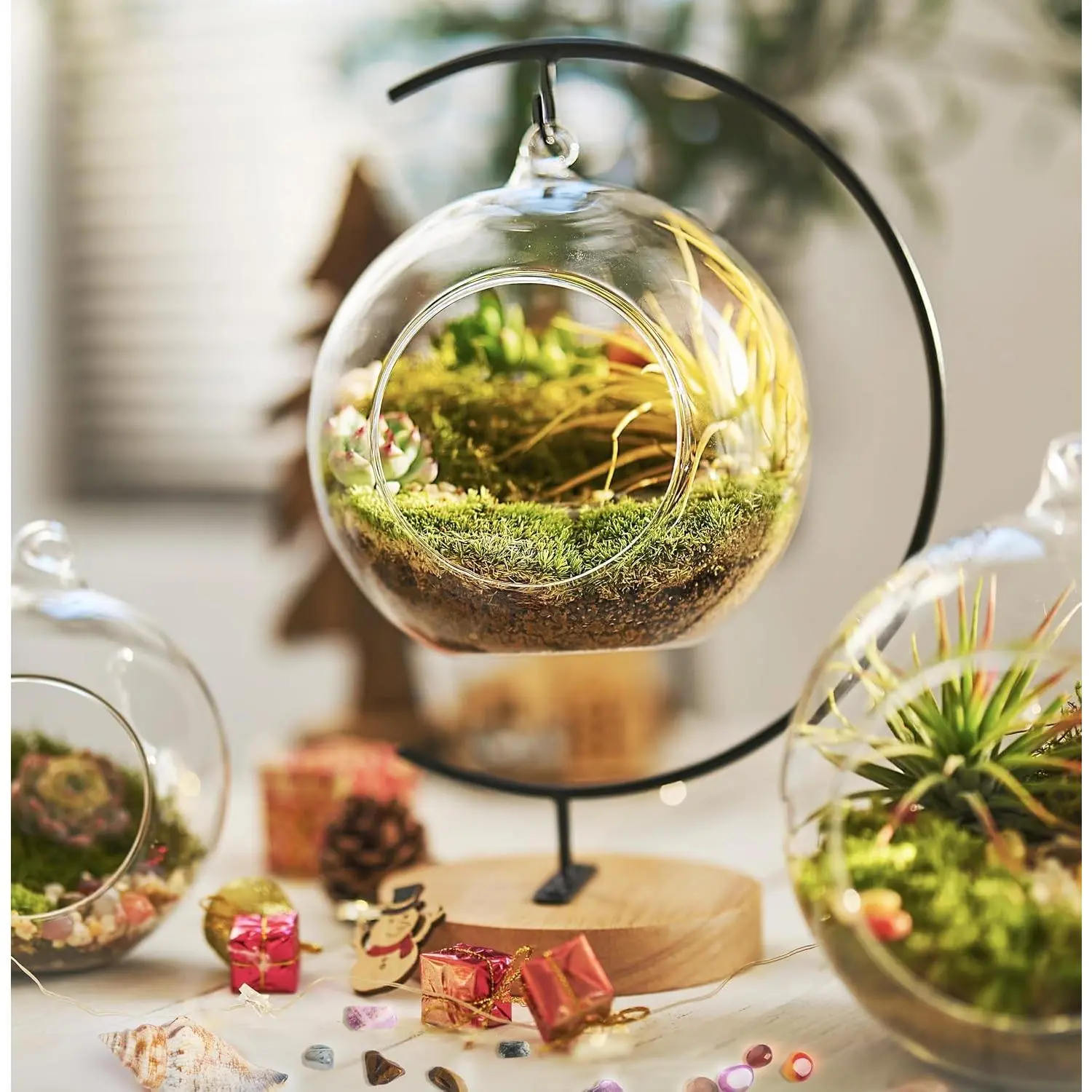 DIY Terrarium Kit with Live Moss, 15-Piece Glass Globe Set | Complete DIY Experience, Beginner Friendly, Wooden Display Stand, Gift-Ready Set, Indoor Nature Decor, Easy Assembly
