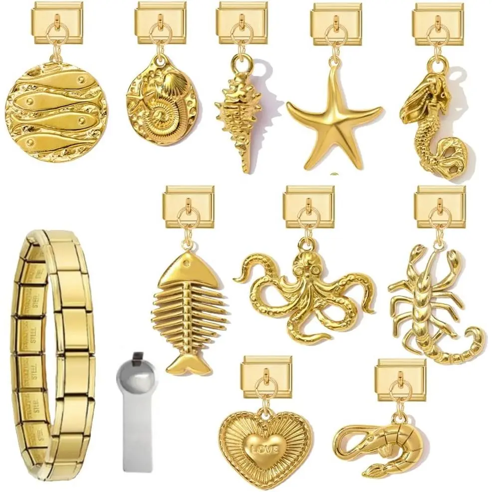 Italian  Bracelet for Women, DIY  with Starter Brascelet,  Charms and Opening Tools, 9mm Modular Italian Bracelet Links