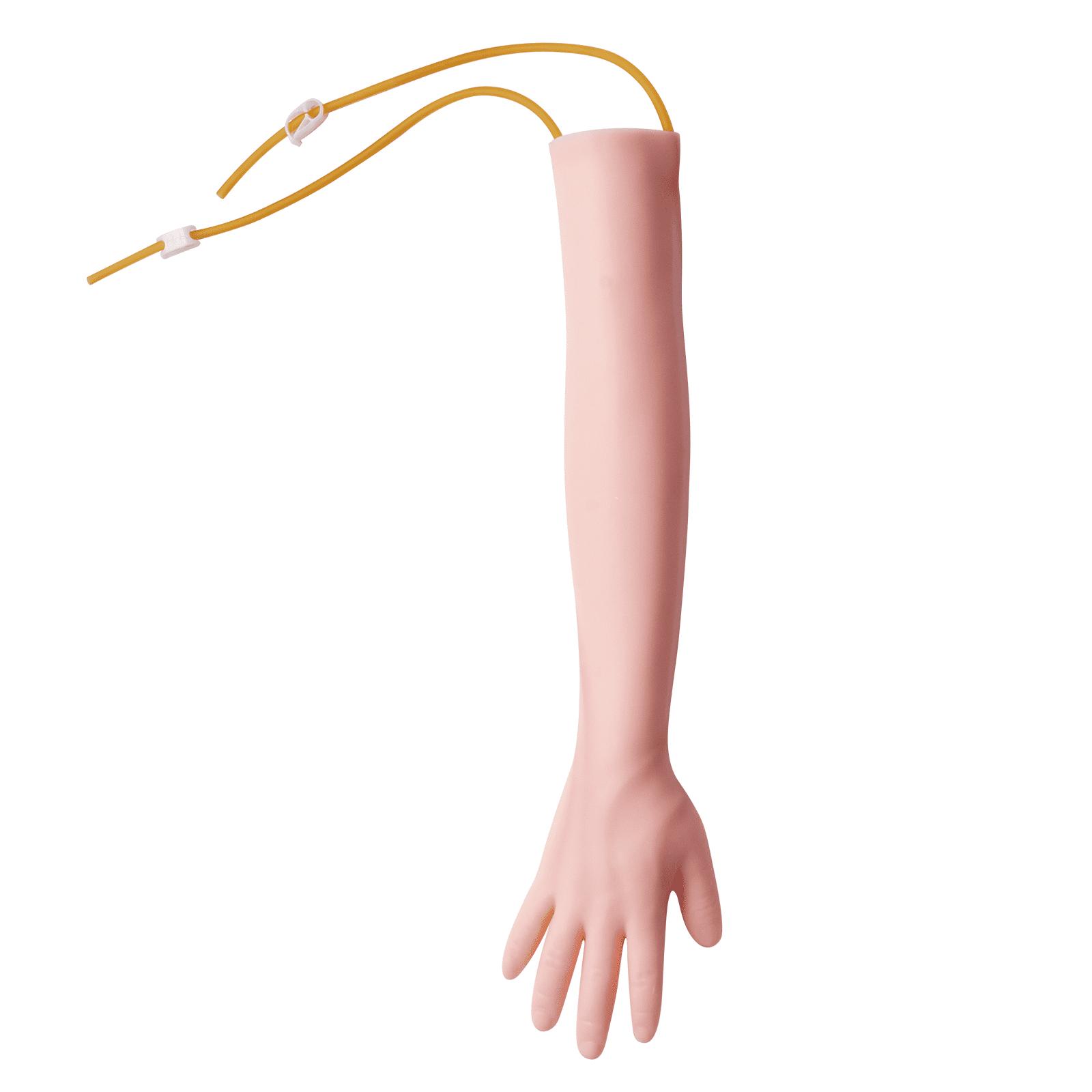 VEVOR Phlebotomy Practice Kit, IV Venipuncture Intravenous Training Kit, High Simulation IV Practice Arm Kit with Carrying Bag, Practice and Perfect IV Skills, for Students Nurses and Professionals VEVOR Phlebotomy Practice Kit, IV Venipuncture Intravenous Training Kit, High Simulation IV Practice Arm Kit with Carrying Bag, Practice and Perfect IV Skills, for Students Nurses and Professionals