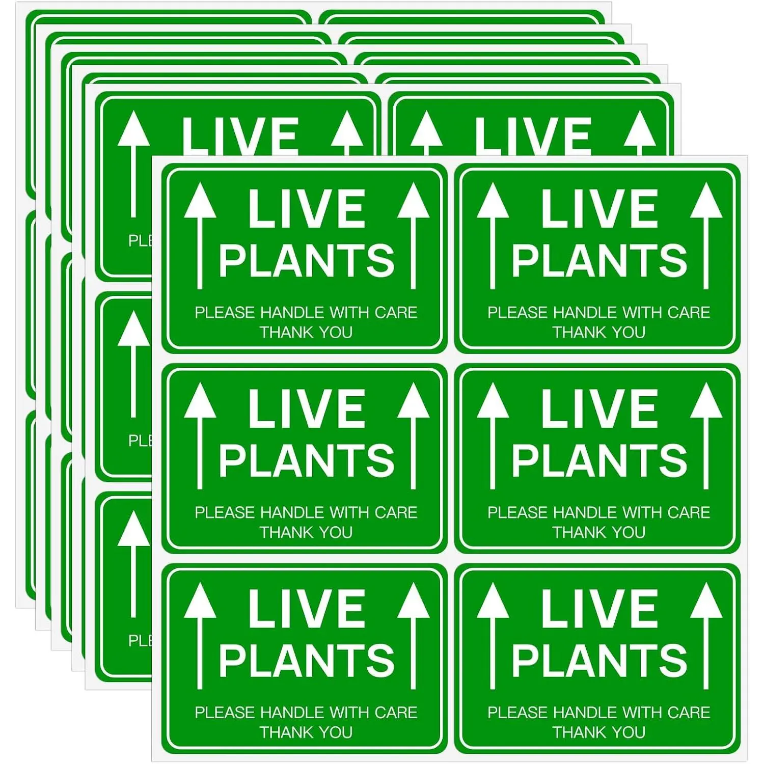 60-Count Vinyl Peel-and-Stick Weatherproof Green "Fragile, Please Handle with Care" Shipping Labels for Garden & Business (2"x3")