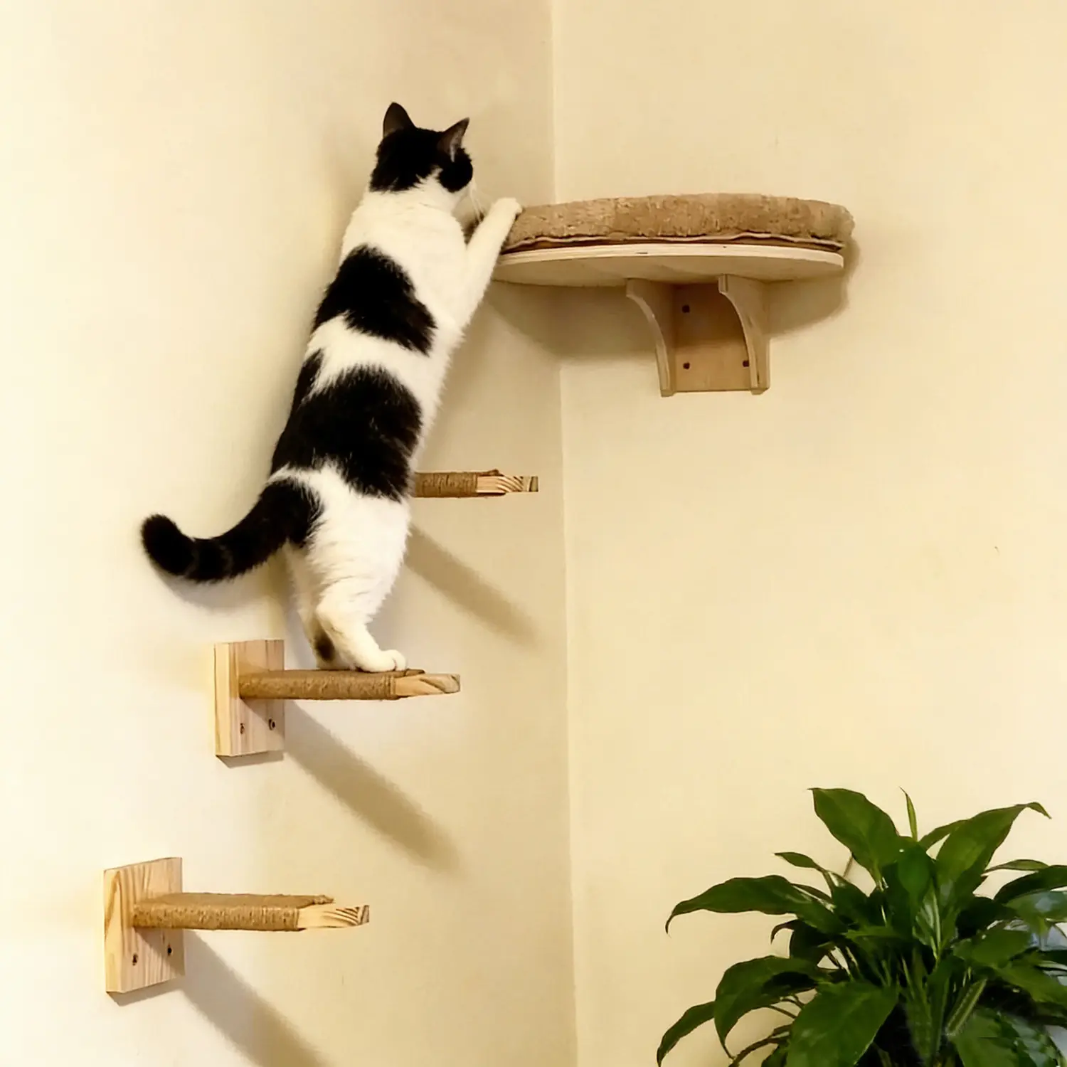 Wall-Mounted Round Wood Cat Hammock and Climbing Stairs, Ideal for Cats Sleeping, Playing, and Relaxing, Indoor Cat Furniture
