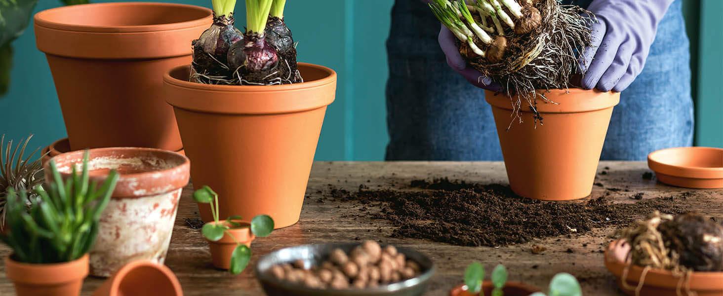 3 inch Terracotta Clay Pots for Plants with Saucer - 12 Pack Small Terra Cotta Planter Great for Garden Windowsill Indoor & Outdoor Wedding Favors Gifts