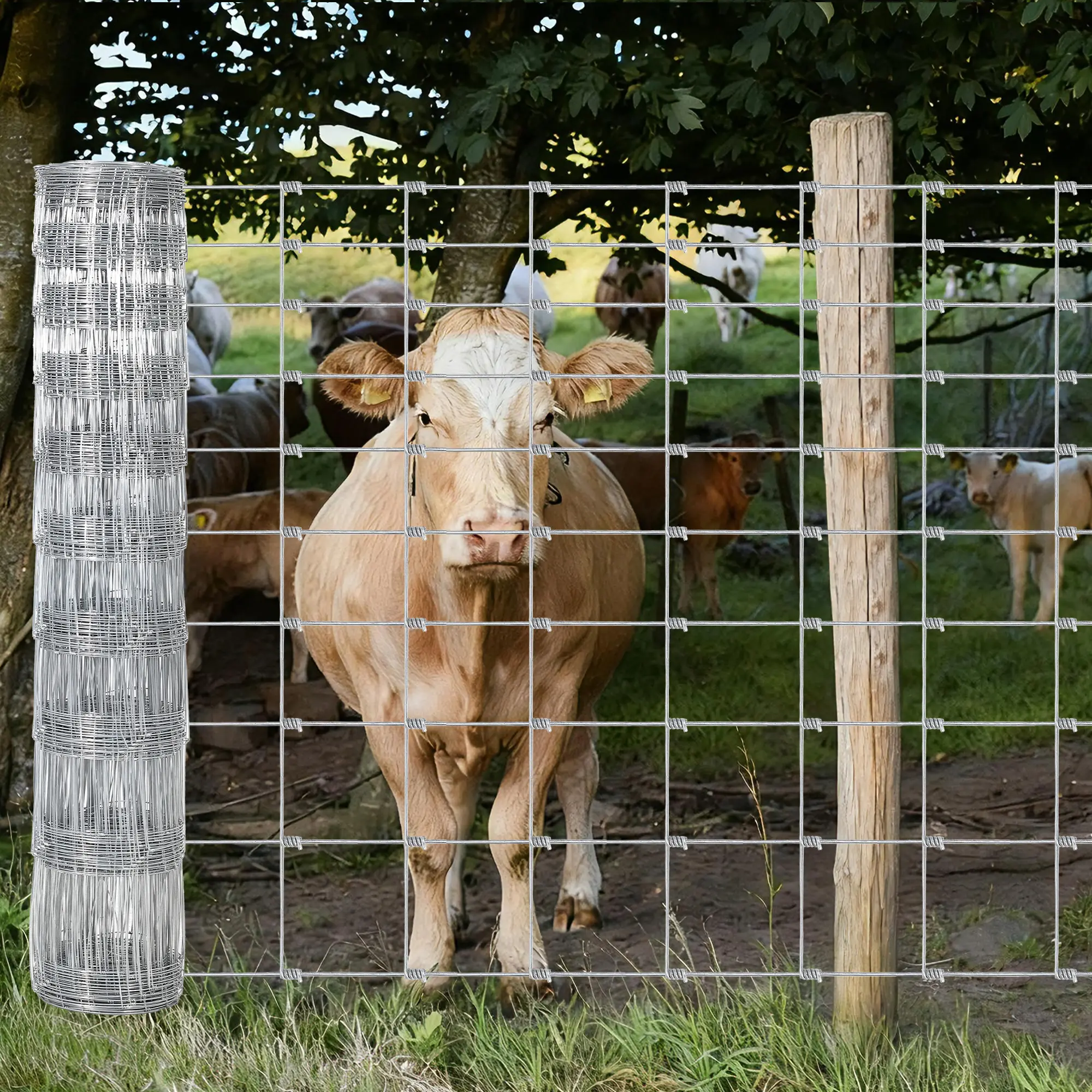 Heavy Duty Galvanized Wire Fence Roll 4Ft 5Ft 6Ft Height Livestock Fence for Farm Ranch Cattle Goat Deer Enclosure Protection Anti Rust Woven Wire Mesh Field Fencing Outdoor Pasture Yard Boundary Fence 328Ft Max