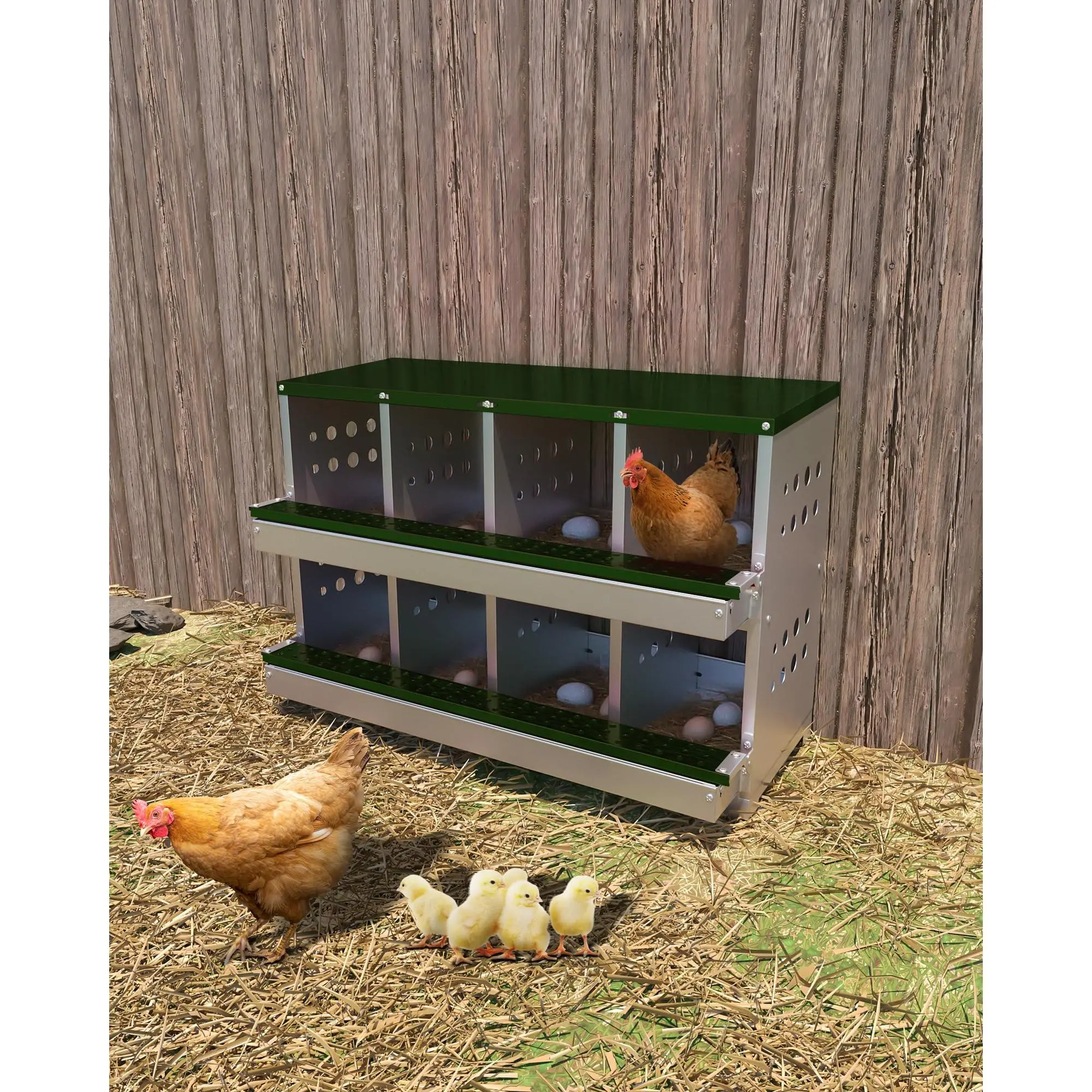 2-Tier 8-Compartment Galvanized Steel Chicken Nesting Box with Roll-Away Tray, 8 Fake Eggs Included, Dark Green, Wall Mount