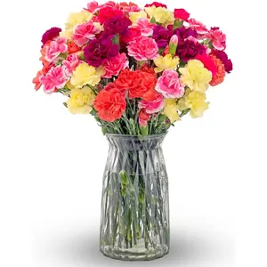 Bouquets Mini Carnation Bouquet – ers for Delivery – Pink Yellow Purple Flowers – Fresh Floral Arrangement – Gifts for Graduation, Birthdays, Get Well – Vase Included
