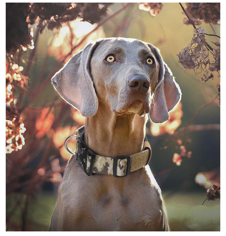 Heavy Duty Tactical Dog Collar with Control Handle, Stylish Pink Fashion No Pull Training Collar for Medium Large Dogs