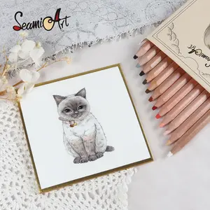 12/24color Skin Tone Colored Oily Pencil Set for Sketching Art School Drawing Set