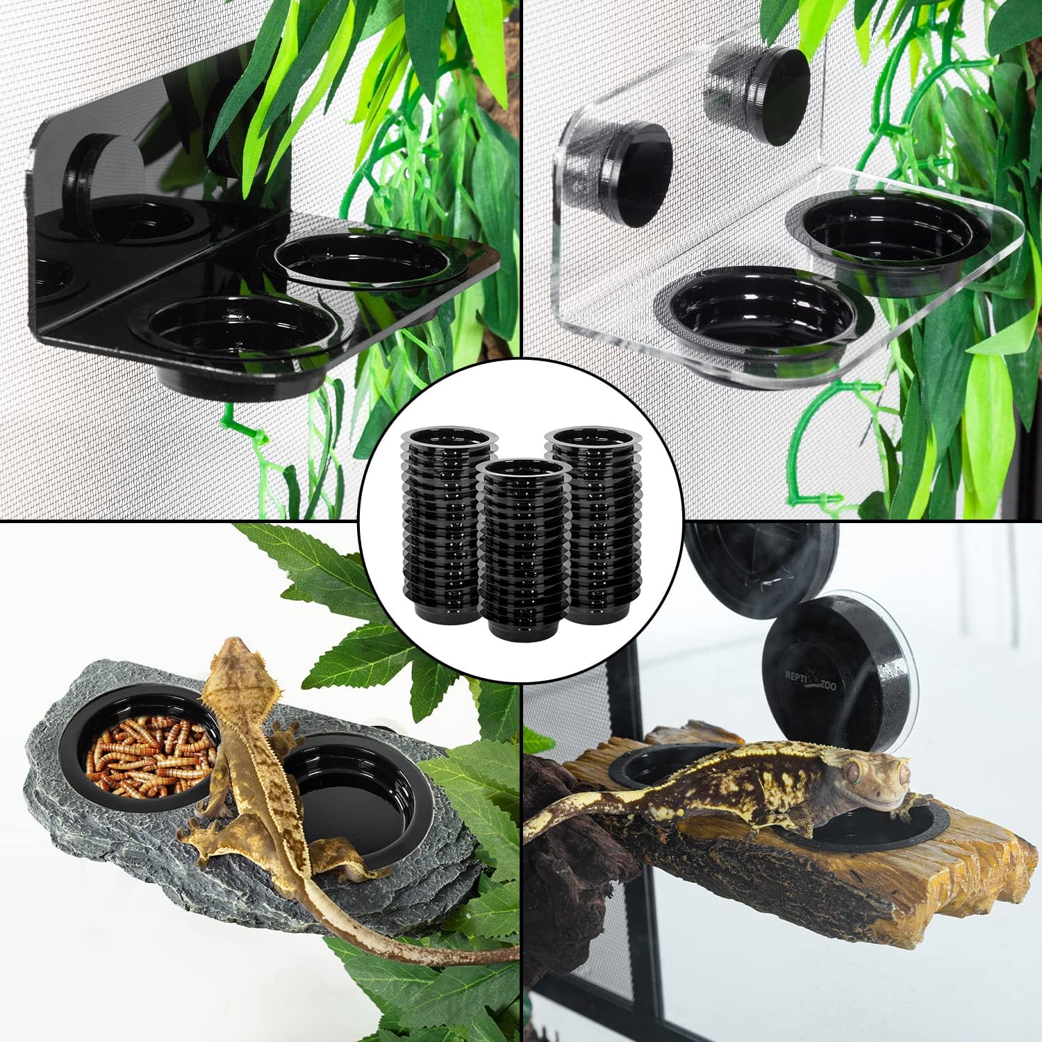 Reptile Ledge,  Gecko Feeding Ledge with 6 count Cups, Reptile  Water Feeder Dish for Geckos Iguana Chameleon Pets (Cups)