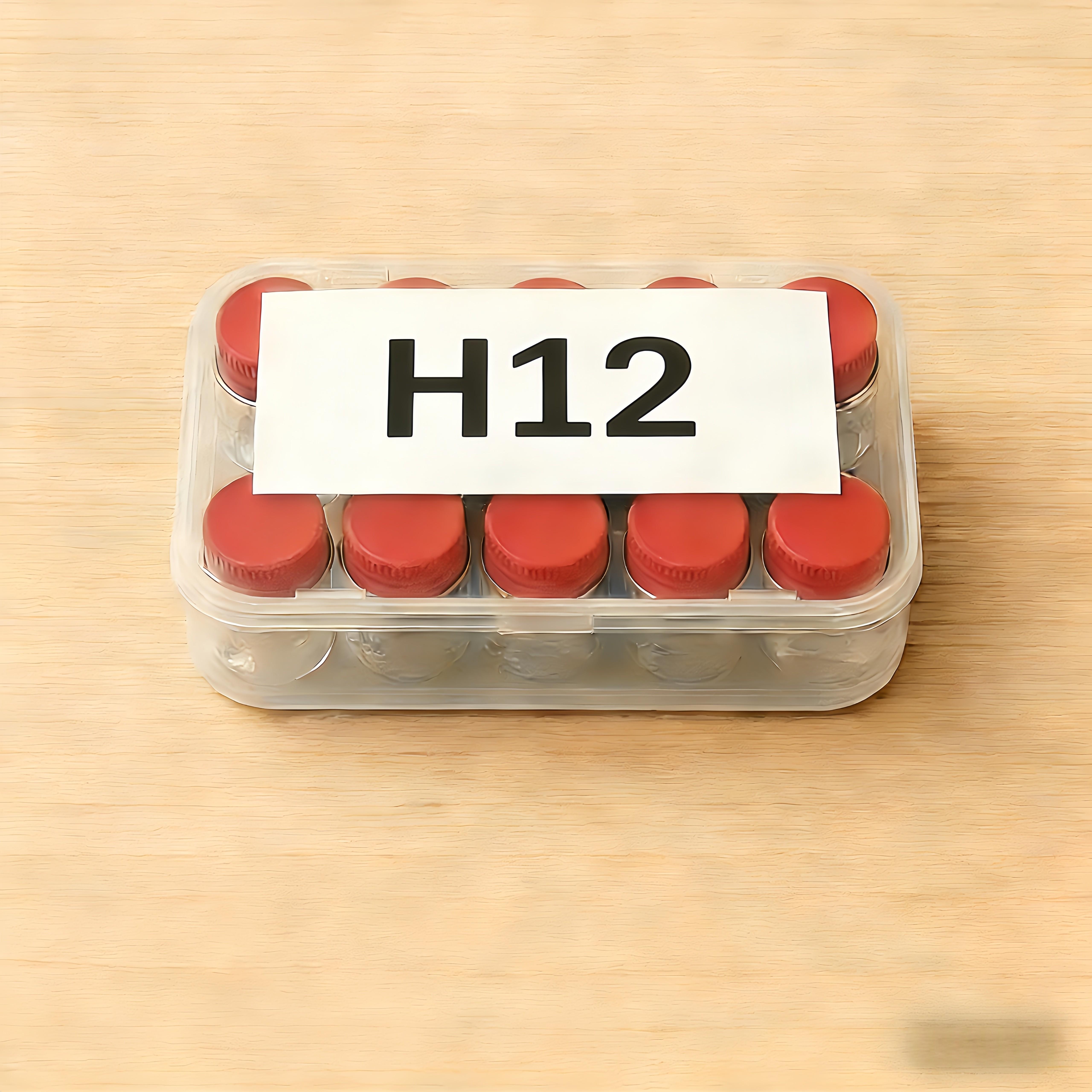 H10