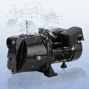 1.75 HP Shallow Well Jet Pump, 2070GPH Cast Iron Booster Pump, 115V/230V Dual Voltage, Max 25 ft Depth for Home Garden Farm