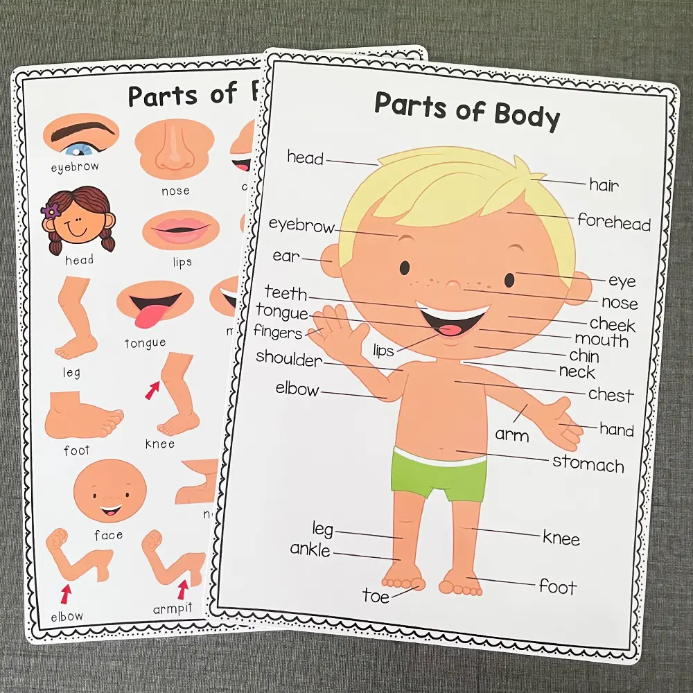 Body Parts Learning Poster, 2 Counts/set Body Parts Text Preschool Classroom Decoration Poster, Home School Supplies, School Education Poster
