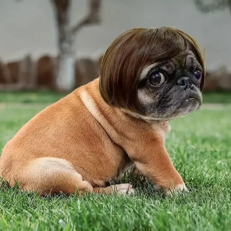 Cute Short Hair Pet Wig Headband, Fun Pet Accessory for Cats, Dogs, Puppy and Kitten, Perfect Valentine's Day Gift, Adorable Pet Fashion Item