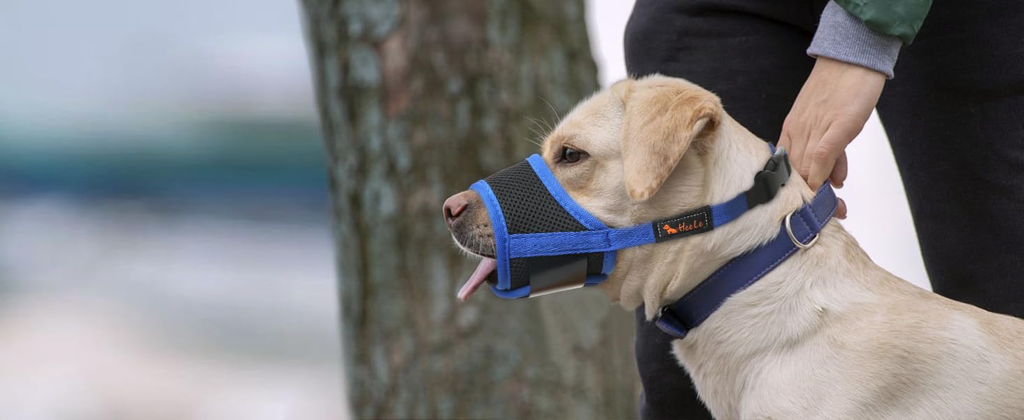 Dog Muzzle,Soft Nylon Muzzle Anti Biting Barking Chewing,Air Mesh Breathable Drinkable Adjustable Loop Pets Muzzle for Small Medium Large Dogs 4 Colors 4 Sizes (Black, L) PET MUZZLE pet muzzle