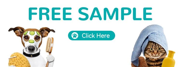 New Rubber Elastic Ball with Feathers Interactive Cat Toy for Chasing Biting Play Fun as Soccer Football Basketball Baseball Ball Pet Supplies