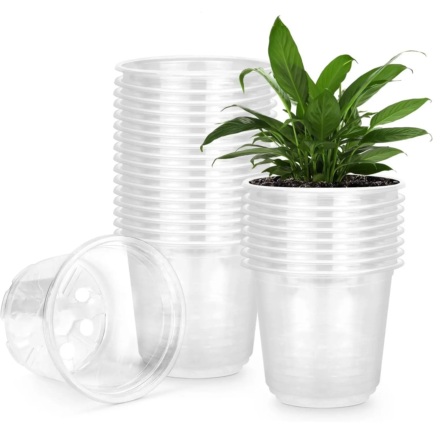 25 Pack 3.5 Inch Clear  Pots with Drainage Holes, Flexible Plastic  Pots for ,  Garden Flower Pot, Seed Starter Pots