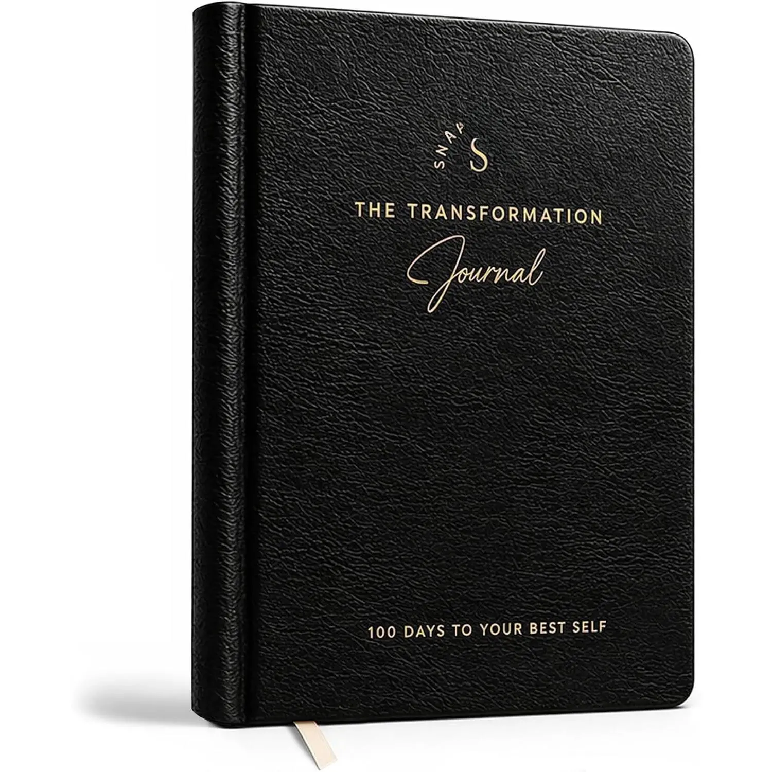 100-Day Guided Journal with Prompts - Daily Reflection & Personal Growth Journal for Mental  | Personal Development Workbook by