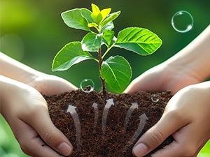 50 Pcs 30mm Organic Coco Coir Pellets for Seed Starter, Compressed Coir Potting Soil for Planting, Soil for Indoor Plants Herbs Flowers Vegetables