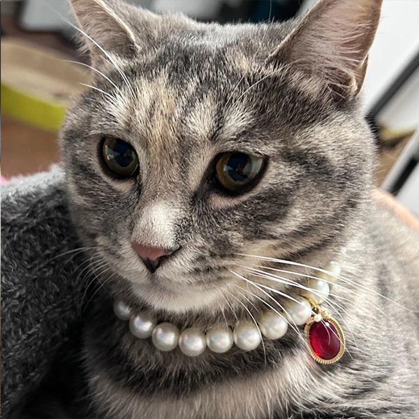 Luxury Pearl Pet Necklace, Cute Cat Dog Collar with Gem Pendant, Adjustable Pet Jewelry for Small Dogs Cats, Fashion Pet Accessory for Photoshoot Party