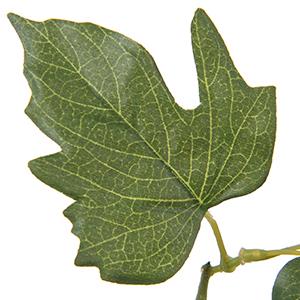 2 Bundles Artificial Fake Flowers Plants for Outdoor Decoration, Faux Petunias Silk Flower UV Resistant No Fade for Home Outside Garden Balcony Yard Porch Realistic Indoor Decor