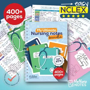 Bundle: 400+ Page Handwritten Notes, Designed to   School, Concise & Comprehensive