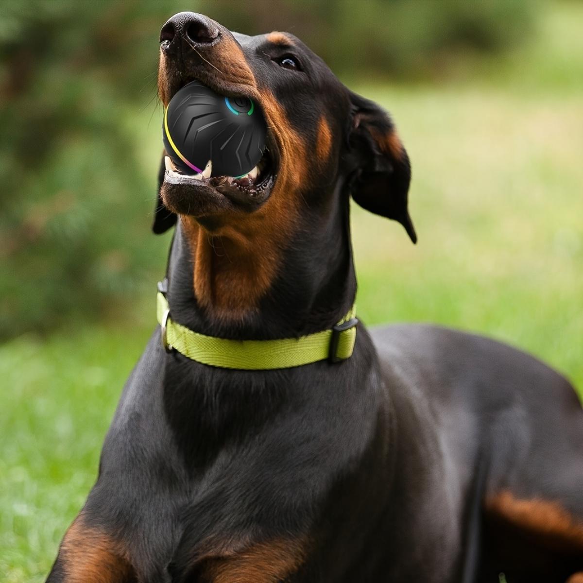 Smart dog toy, featuring random rolling and jumping functions, equipped with dazzling lights, suitable for various environments, including: wooden floors, tile floors, lawns, and carpets