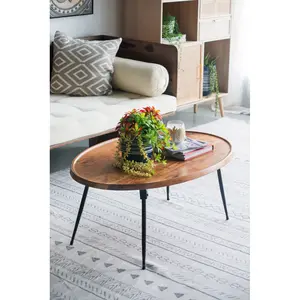 39x26x16" Oval Cofe Table
