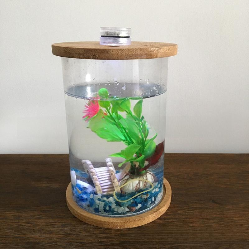 Acrylic Fish Tank Desktop Micro Landscape Round Tank Creative Ecological Small Fish Tank High Transparency Rotating Betta Tank with Light Acrylic Fish Tank Desktop Micro Landscape Round Tank Creative Ecological Small Fish Tank High Transparency Rotating Betta Tank with Light