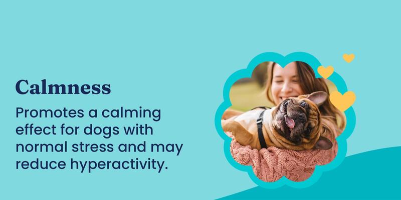 Dog Pet Chews for All Breeds - Multivitamin, Calming - Chicken & Meat Flavors, Skin & Coat Support, Training Treats 90 Capsules-BY