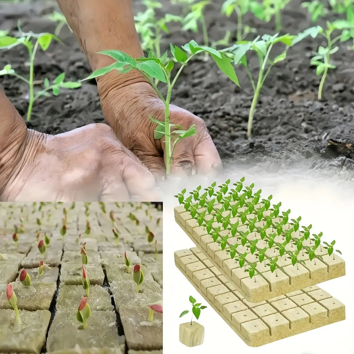 200holes 1-Inch Absorbent Cubes for Gardening, Ideal for Planting and Plant Cuttings, Perfect for Hydroponics and Container Filler