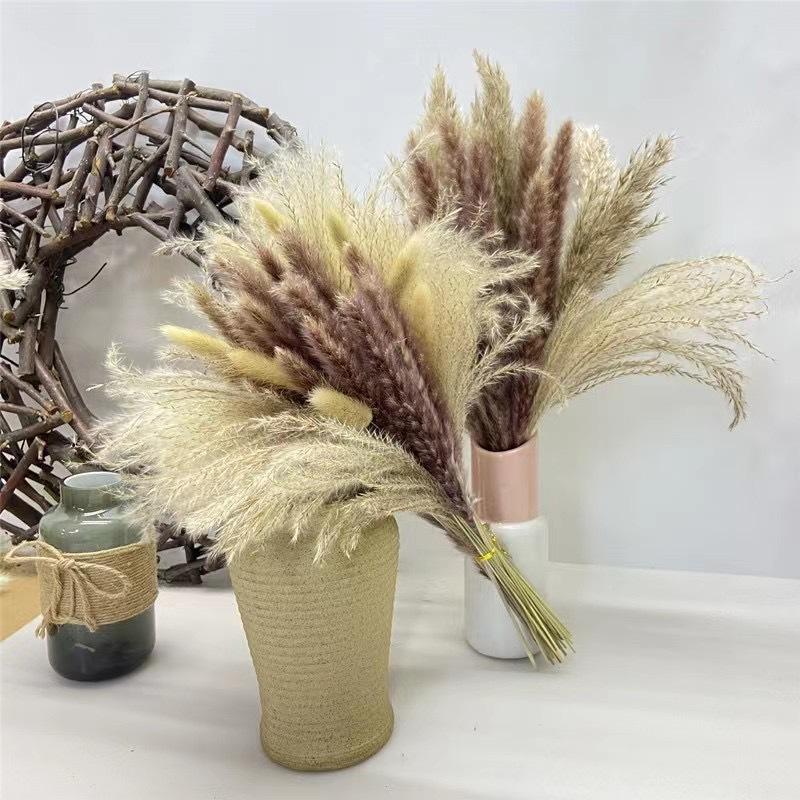 100 Pieces Of Bohemian Reed Grass, Naturally Dried Reed Grass, Wedding Decoration, Home Decoration, Bohemian Party Decoration, Table Decoration, Brown And White Color