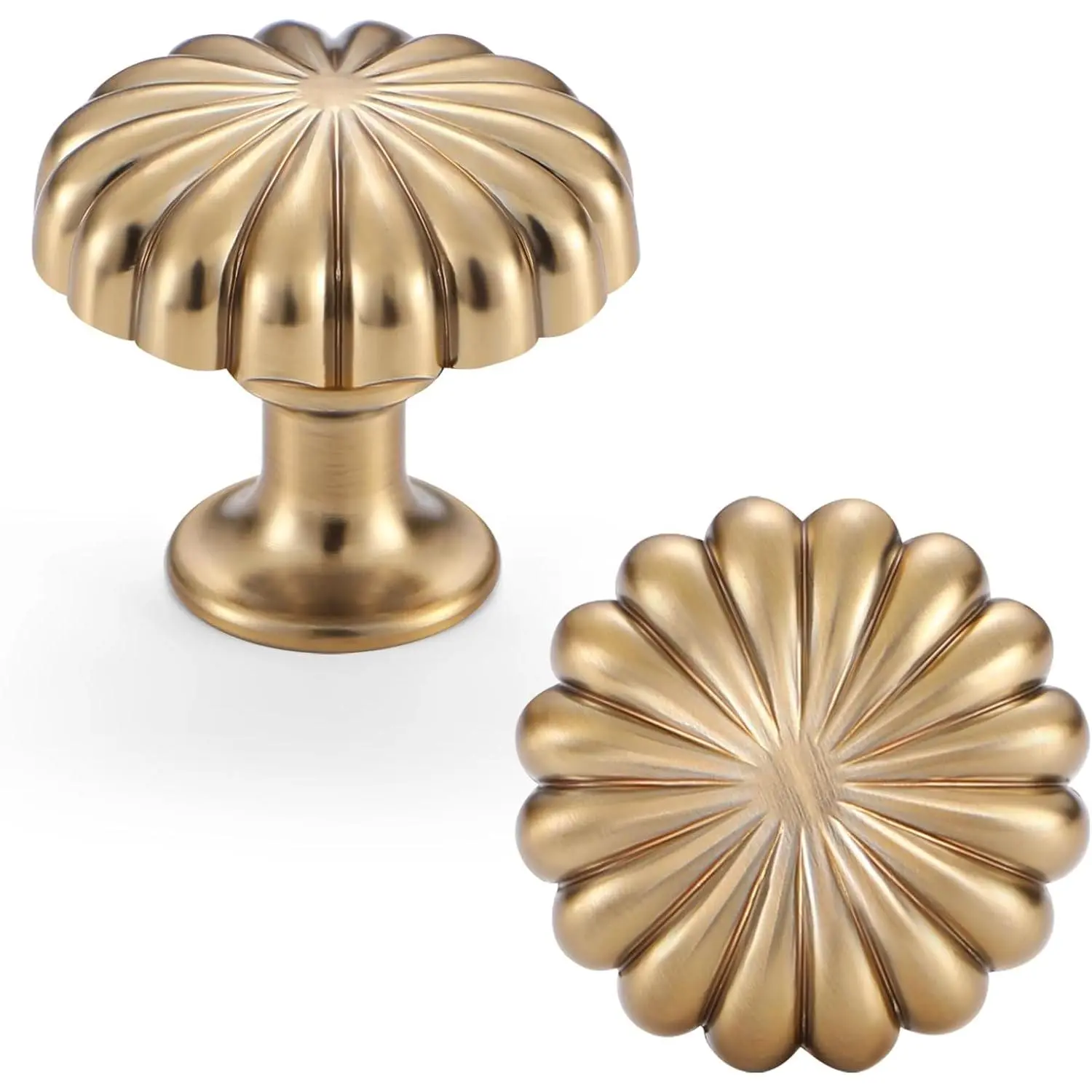 Champagne Bronze Cabinet Knobs,2 Pack Drawer Pulls for Dressers | Solid Zinc Alloy,Screws Included,Single Hole,Smooth Feel, Cabinet Handles Hardware for Kitchen Cupboards Restyle