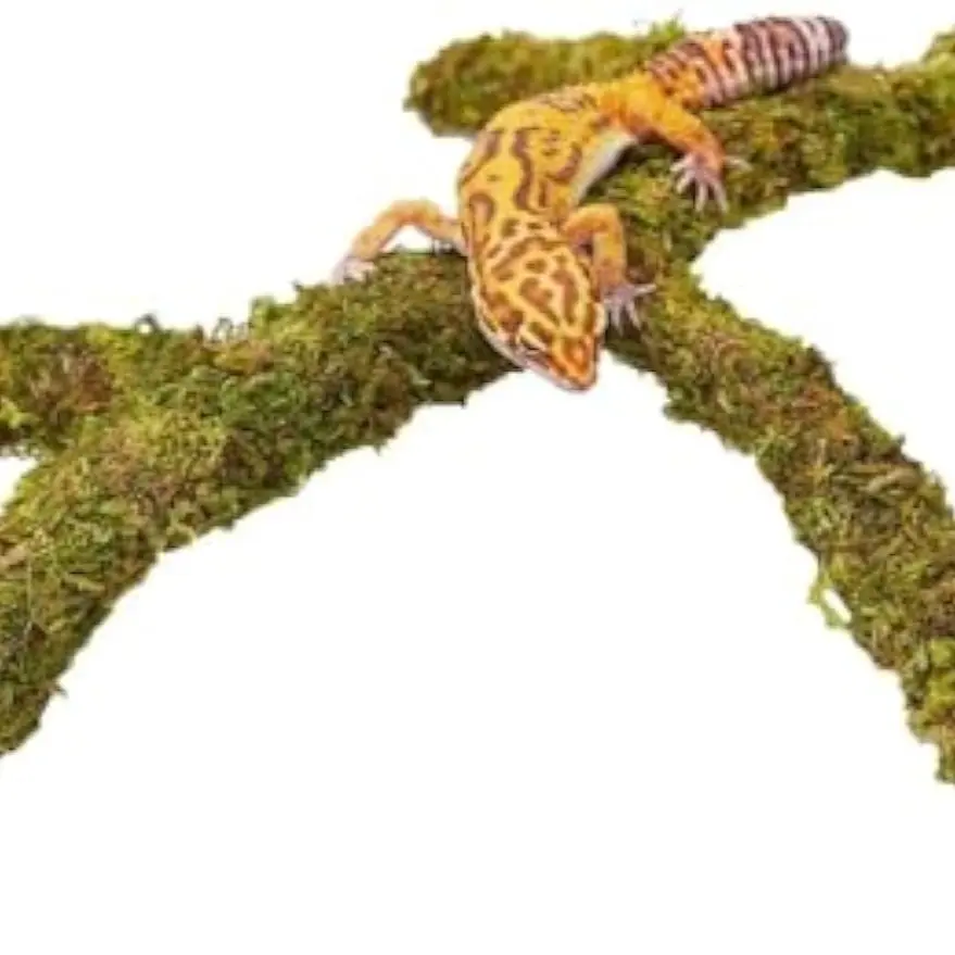 Leopard Gecko Tank Accessories, Adjustable Reptile Climbing Toys, Natural Terrarium Habitat Decor, for Crested Gecko, Lizard, Bearded Dragon