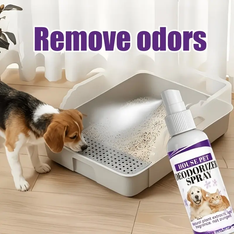 Durable deodorization spray -30Ml, suitable for pet shoes, gym, sports occasions, socks and shoe care, fresh air and odor decomposition