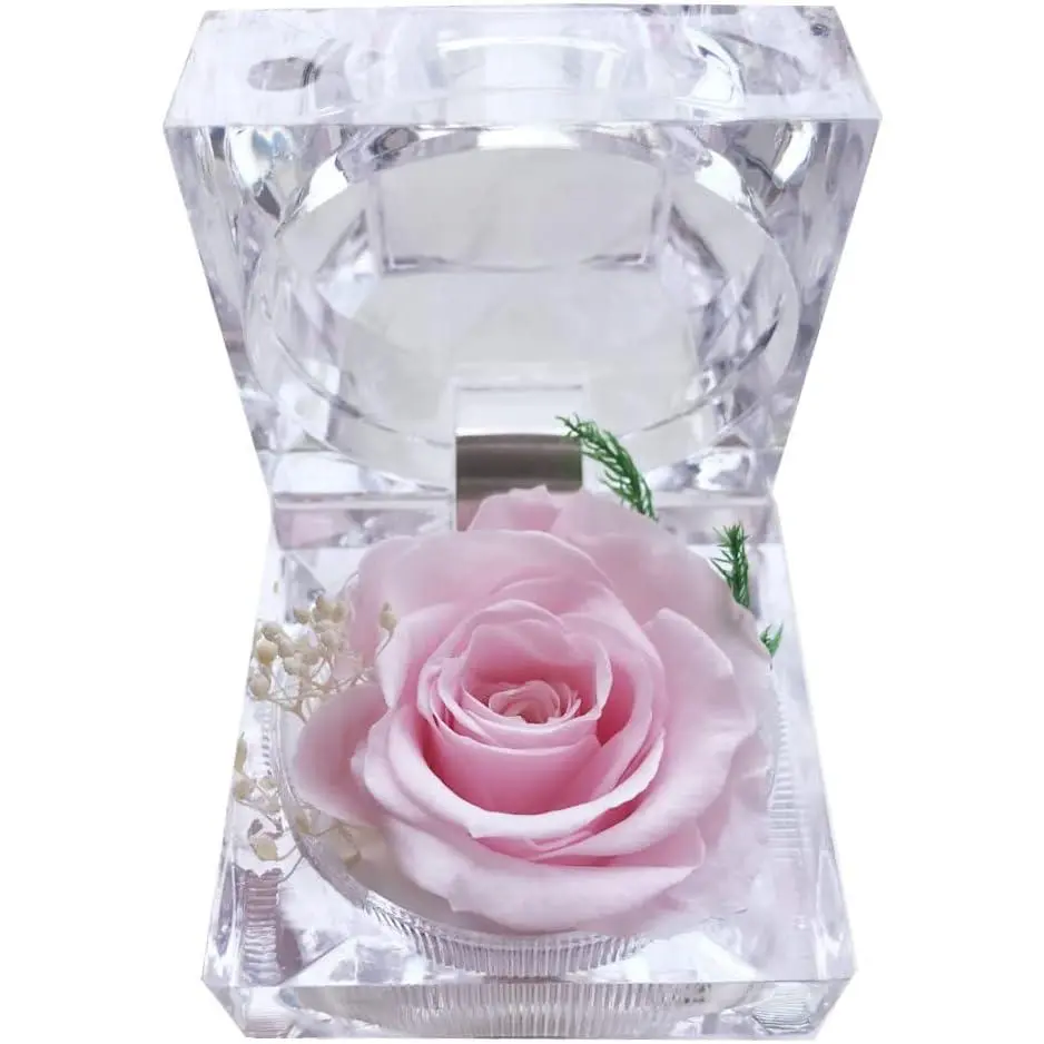 Preserved Rose Real Forever Rose in Mini Clear Ring Box, Eternal Flower Rose Gifts for Women Mom Girlfriend Grandma,  Day, Anniversary, Valentines, Christmas, Birthday ()