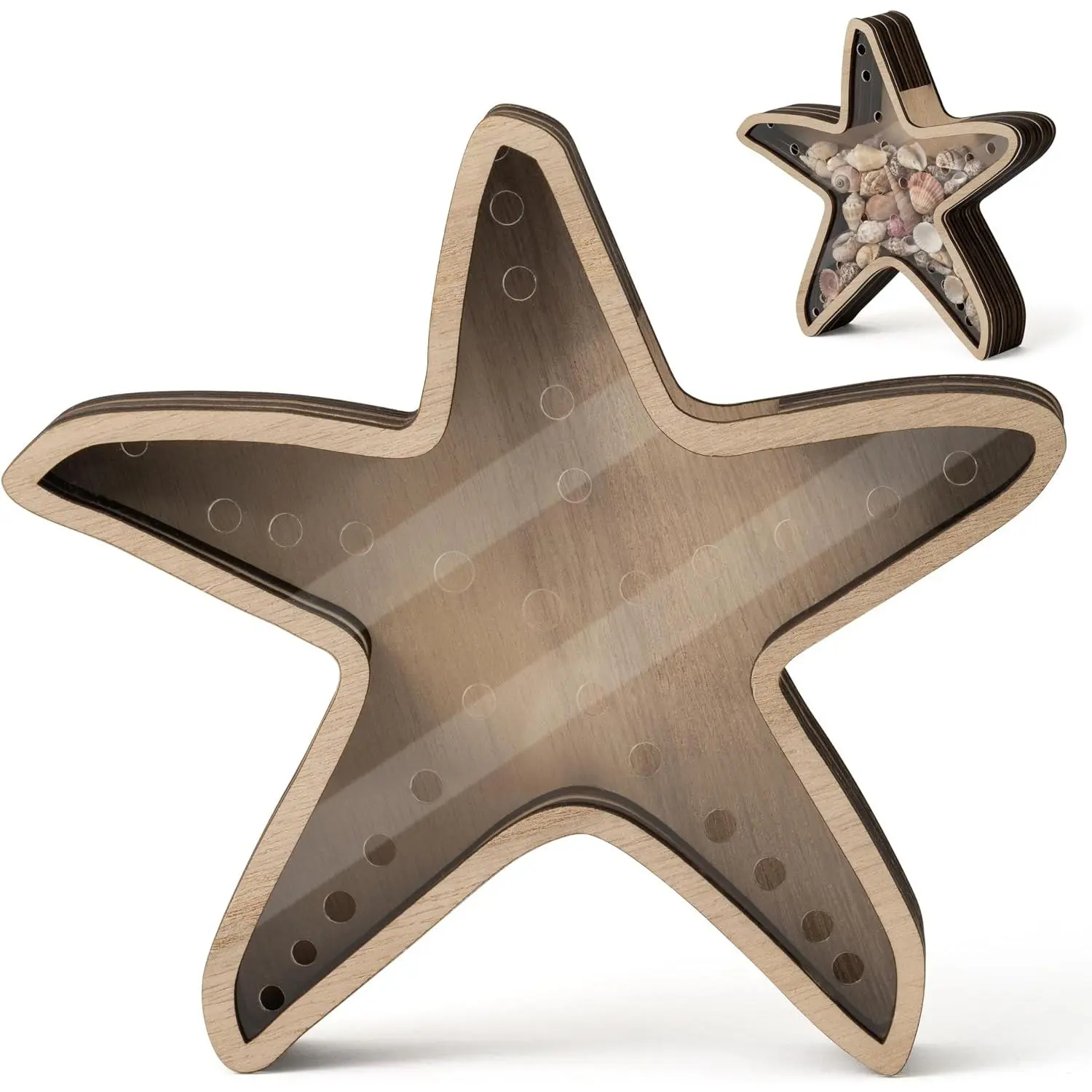 Starfish Shell Collection Box with Shatter Resistant  Panel | Wooden Sea Handcrafted Solid  Display Case for Seashells Sea Glass Beach Treasures  Coastal Decor &