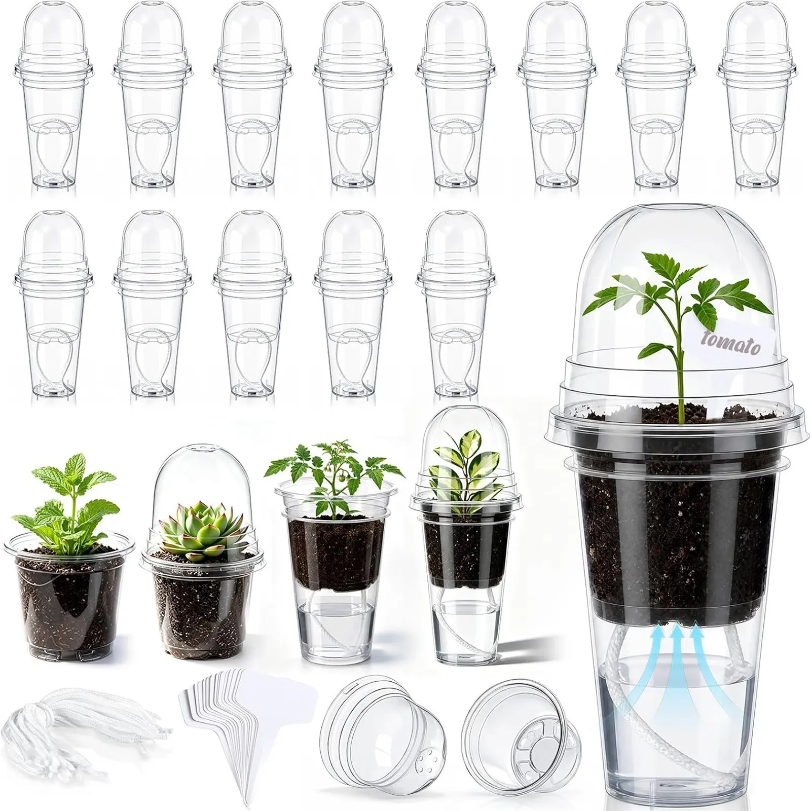 10/15/30 PCS 3.5" Clear Self‑Watering Propagation Pots, Planting Containers, Plain Cup Plastic Nursery Cups with Humidity Dome, for Alocasia Corms, Seedlings, Cuttings, Herbs & Vegetables, with Plant Labels