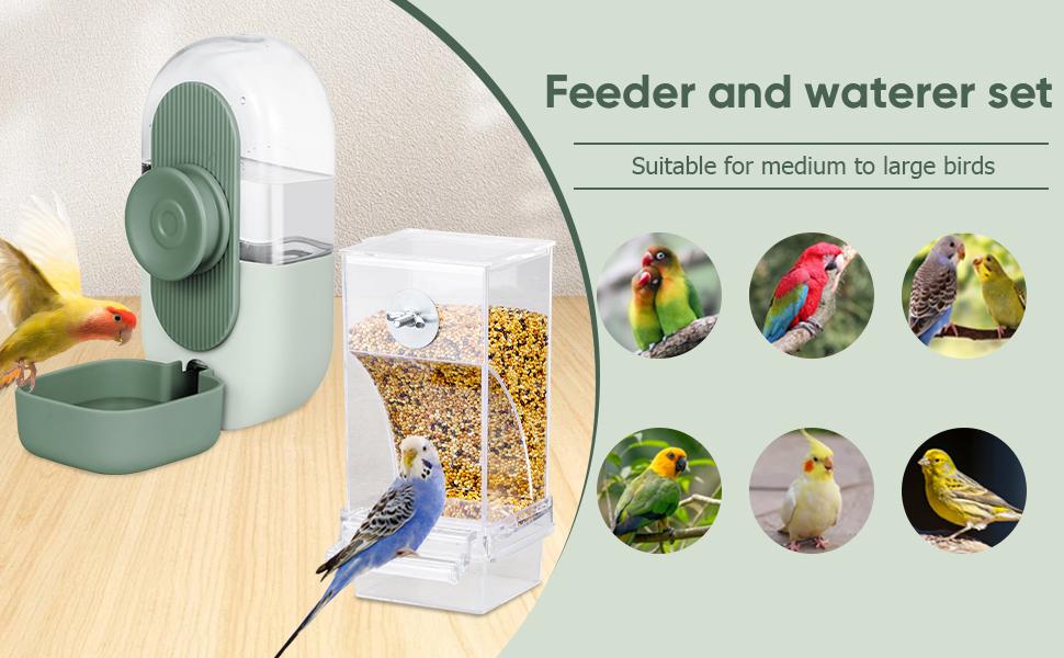No Mess Bird Feeder & Water Dispenser Set - Automatic Feeding & Hydration, Parakeet Cage Accessories for Parrots, Cockatiels, Finches, Lovebirds & Budgies