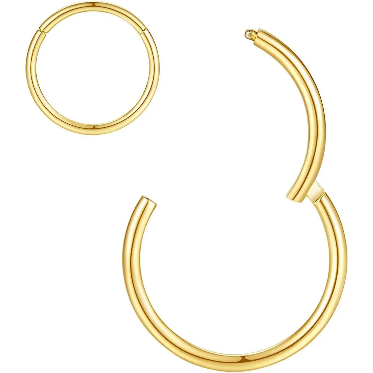 Hypoallergenic Nose Rings 20G 18G 16G 14G 12G 10G 8G 316l Surgical Steel Septum Jewelry Hinged Segment Ring Body Piercing Nose Hoop Lip Rings Nose Helix Cartilage Rook Earrings