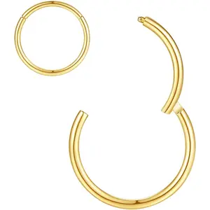 Hypoallergenic Nose Rings 20G 18G 16G 14G 12G 10G 8G 316l Surgical Steel Septum Jewelry Hinged Segment Ring Body Piercing Nose Hoop Lip Rings Nose Helix Cartilage Rook Earrings